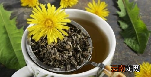 蒲公英和玫瑰花一起泡有什么功效