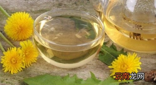 蒲公英和玫瑰花一起泡有什么功效
