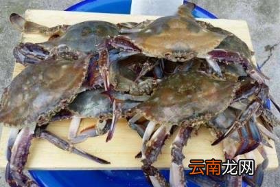 梭子蟹杀好后可以放到晚上烧吗 梭子蟹杀好后放到下午吃可不可以