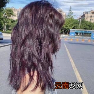 素颜适合染黑紫色吗 黑紫色和黑加仑紫是一个颜色吗