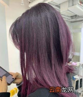 染了黑紫色还能染其他颜色吗 黑紫色能盖住白头发吗