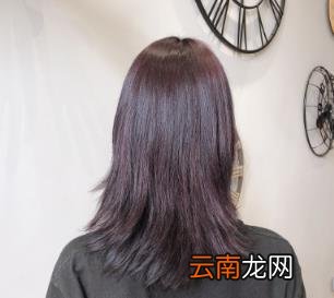 染了黑紫色太黑咋办 黑紫色染出来为什么是黑色