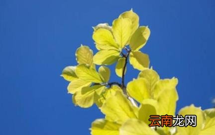 2022国庆节会有寒潮吗 2022国庆节会有冷空气吗