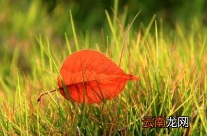2022国庆节会有寒潮吗 2022国庆节会有冷空气吗