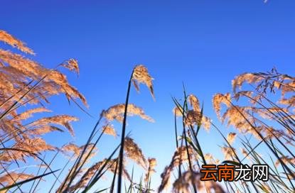 2022国庆节会有寒潮吗 2022国庆节会有冷空气吗