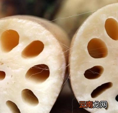莲藕有七孔和九孔之分有什么区别该怎么挑选