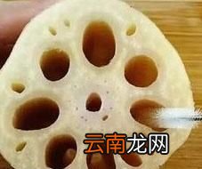 莲藕有七孔和九孔的他们有什么区别