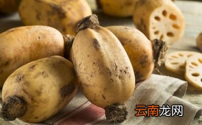 7孔和9孔莲藕的区别