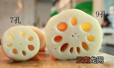 七孔莲藕跟九孔莲藕主要区别