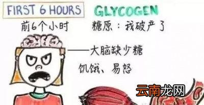减肥为什么不能不吃主食