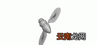 最后一个问题蚊子为什么喜欢围着人叫