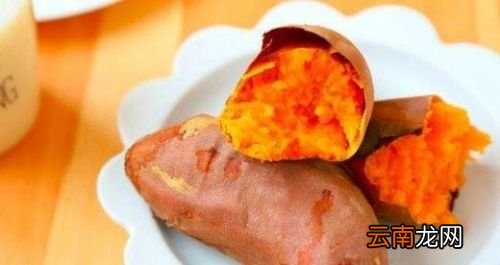 熟红薯可以冻冰箱里吗