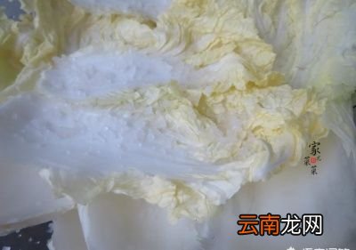 菜菜说腌辣白菜注意事项