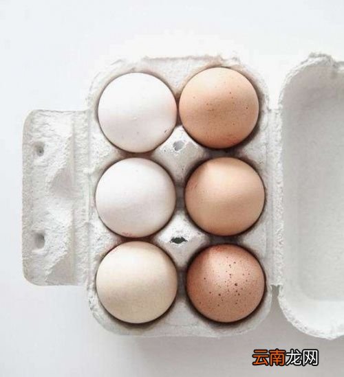 鸭蛋和鸡蛋哪个最营养