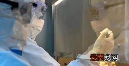 鼻拭子和咽拭子哪个疼