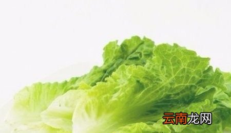 自己家煮火锅买什么菜