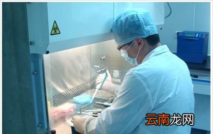核酸检测可以检测什么病毒
