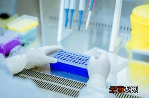 核酸检测能检测变异病毒吗