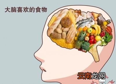 什么是生酮饮食