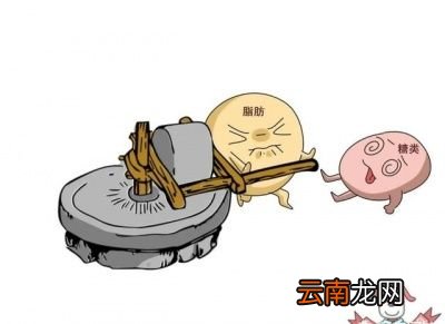 什么是生酮饮食