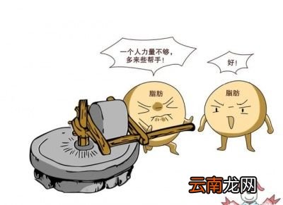 什么是生酮饮食