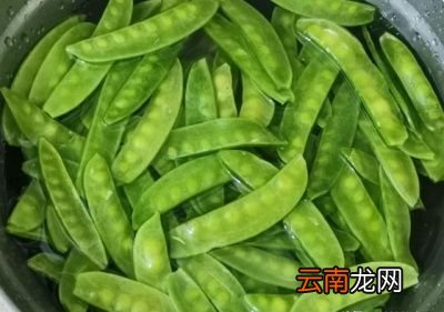 荷兰豆怎么做好吃