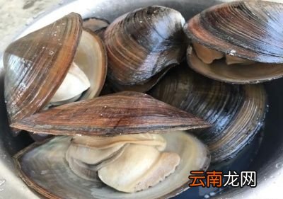 荷兰豆怎么做好吃