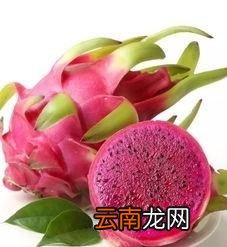 红心火龙果的功效与作用怎么吃