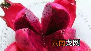 红心火龙果的功效与作用怎么吃