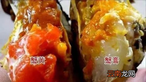 螃蟹里面绿色的膏能吃吗?