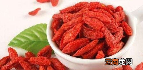 枸杞干嚼一天吃多少颗