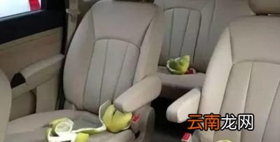 方法六白醋去异味
