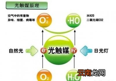 有什么办法可以消除新车的气味
