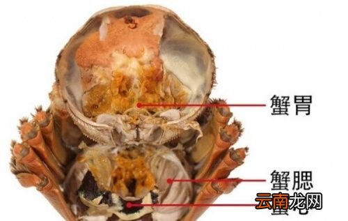 大闸蟹的黄怎么有黑色的