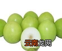 莲雾的味道有点像什么