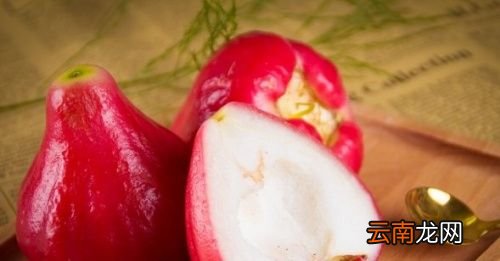 莲雾的味道有点像什么