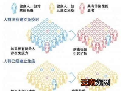 没有疫苗新冠肺炎能获得群体免疫吗