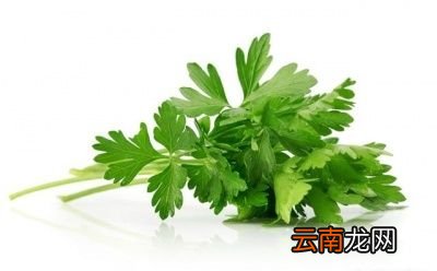 食物会降血压吗