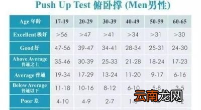 32岁一次能做50个俯卧撑是什么水平