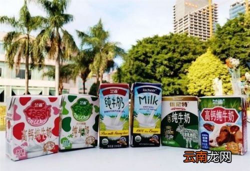 什么牛奶最好怎么区别