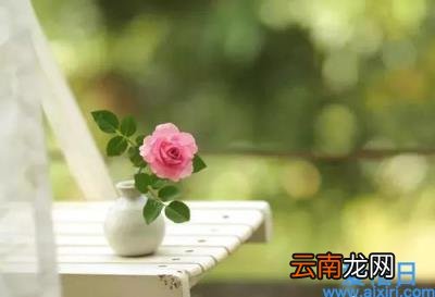 夏洛的网经典段落赏析 夏洛的网好词好句摘抄