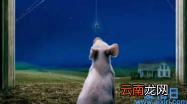 夏洛的网经典段落赏析 夏洛的网好词好句摘抄