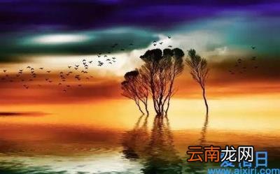 夏洛的网经典段落赏析 夏洛的网好词好句摘抄