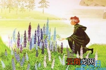 夏洛的网经典段落赏析 夏洛的网好词好句摘抄
