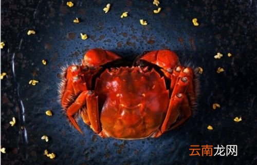 阳澄湖大闸蟹什么时候最好吃