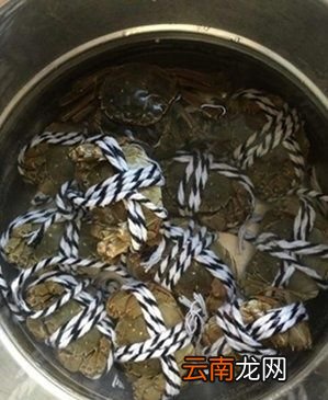 阳澄湖大闸蟹什么时候最好吃
