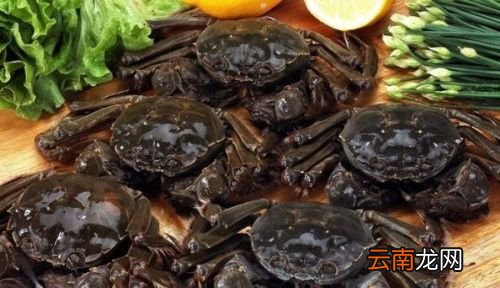 阳澄湖大闸蟹什么时候最好吃