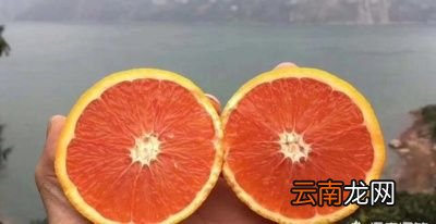 现在柑橘比以前甜了是不是打甜蜜素