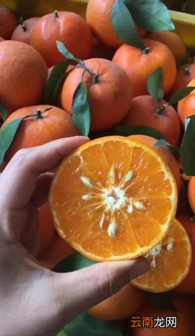 现在柑橘比以前甜了是不是打甜蜜素