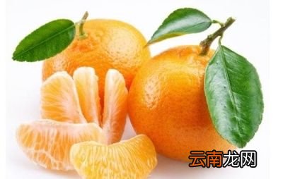 柑橘等水果是否会使用甜蜜素